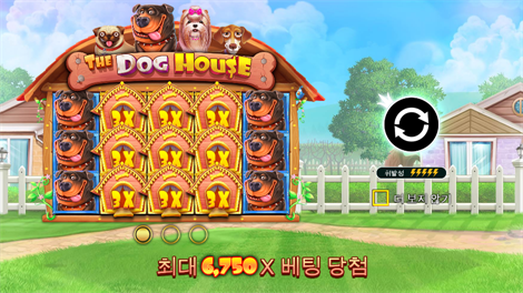 카이센즈 캐시
