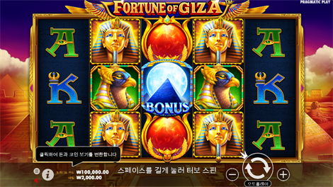 부두 매직