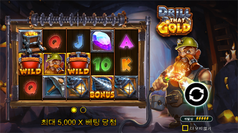 5 라이언즈 골드